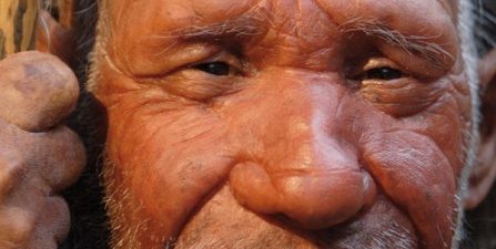 Neandertales