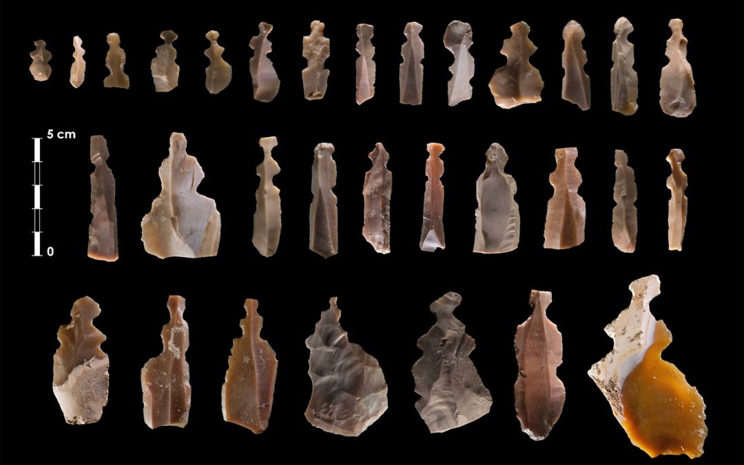 Fundación Palarq, una entidad sin ánimo de lucro en apoyo de la arqueología