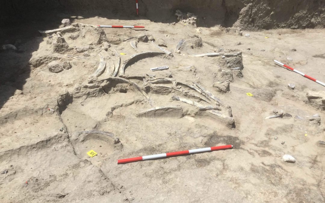 Olduvai nos desvela nuestros primeros pasos en África hace 1,5 millones de años