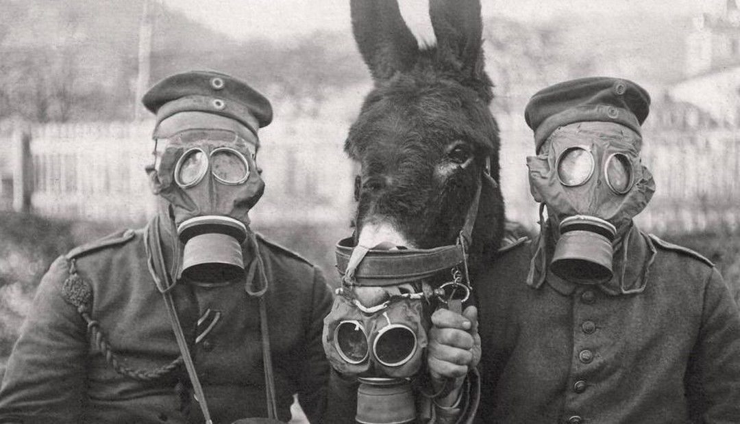 1918-2018. Centenario del fin de la Primera Guerra Mundial