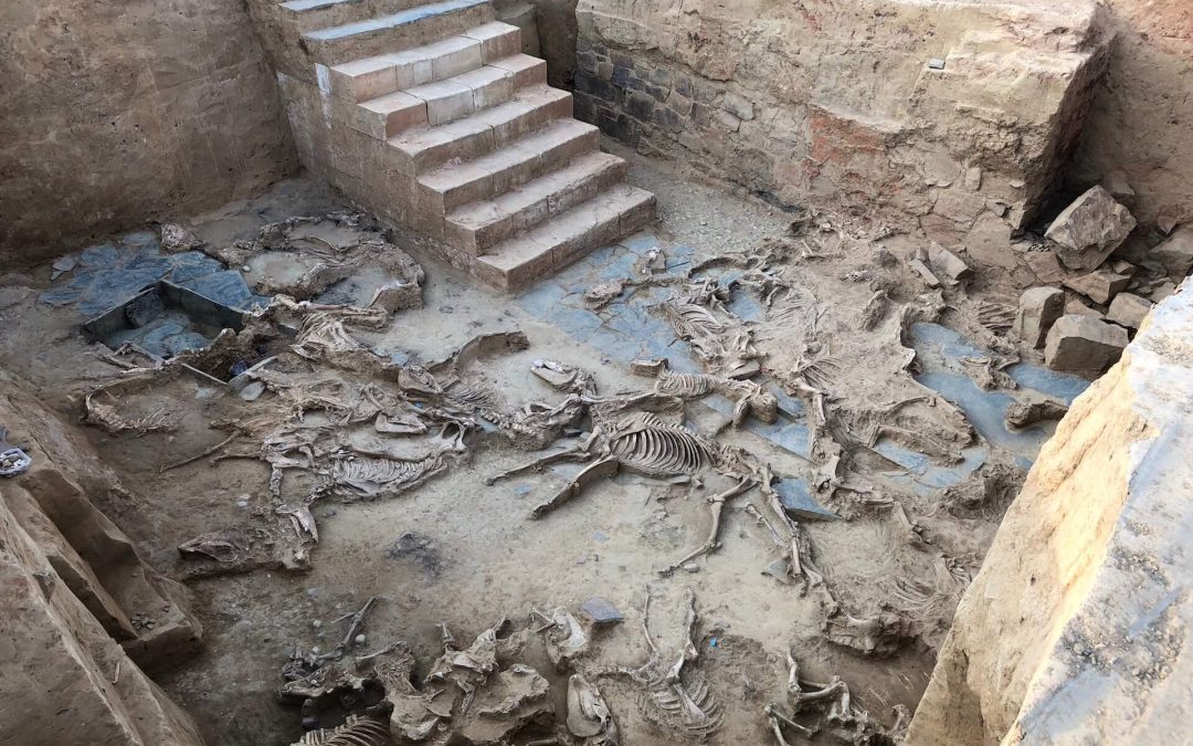 “Construyendo Tarteso”, I Premio Nacional de Arqueología y Paleontología Fundación Palarq