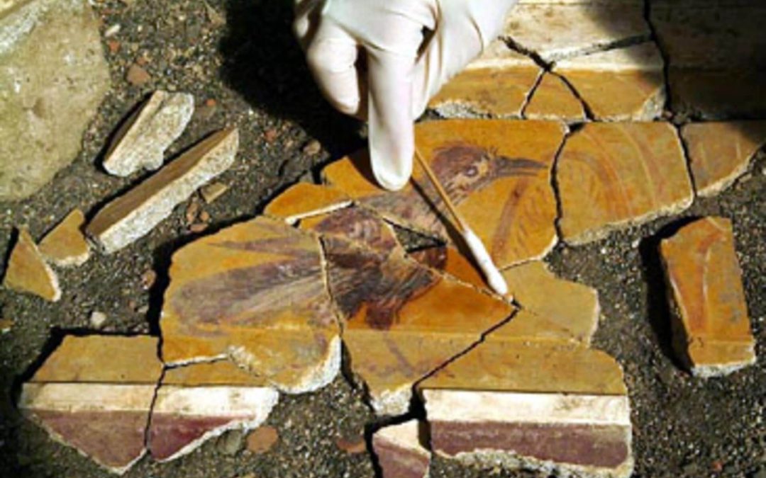 Pompeya. Excavaciones y hallazgos