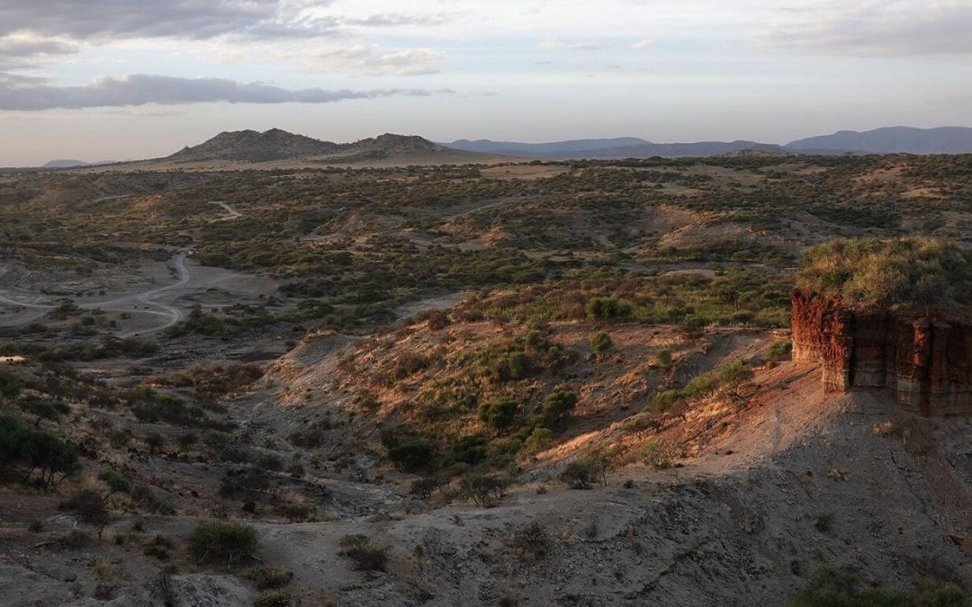 El proyecto paleoantropológico y paleoecológico de la garganta de Olduvai. Un estudio sobre el origen del ser humano y su comportamiento.