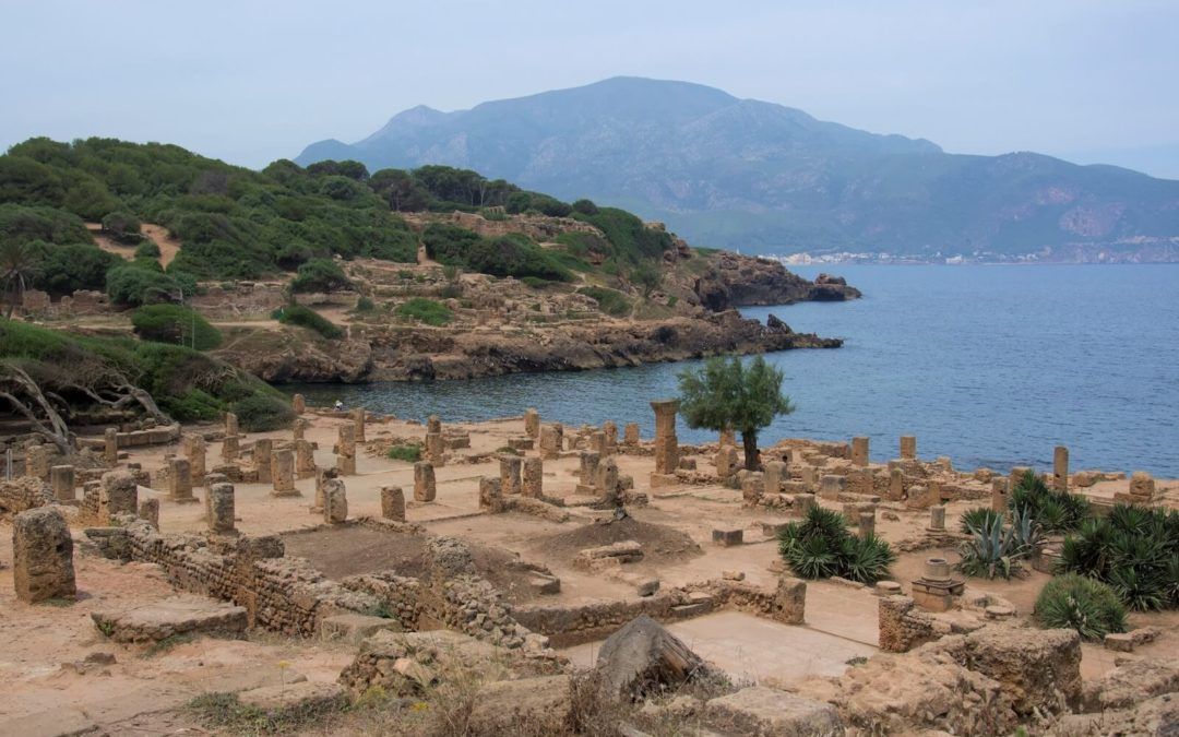 La Fundación Palarq subvenciona 59 proyectos para la campaña 2021