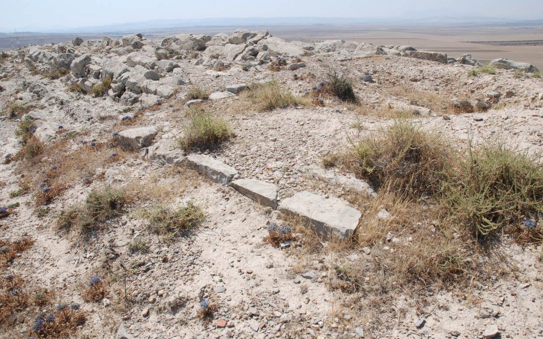 El territorio de explotación de la antigua ciudad de Cartago