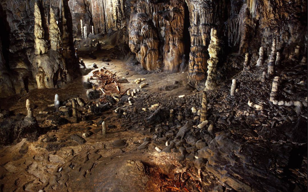 La cueva de La Garma, II Premio Nacional de Arqueología y Paleontología Fundación Palarq