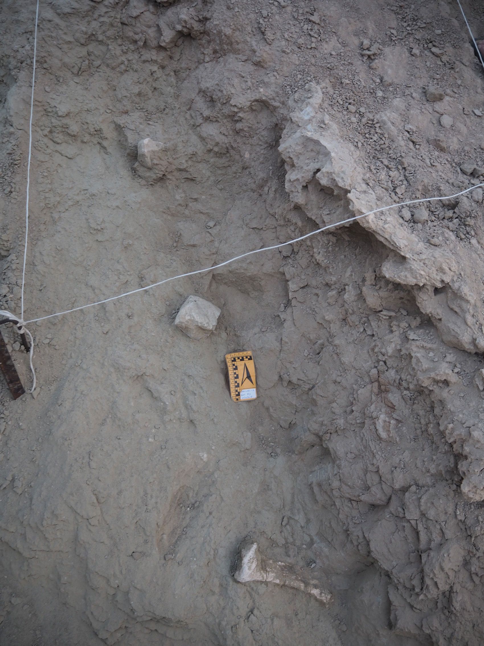 Restos óseos e industria lítica en el yacimiento achelense de Luba Gadhi