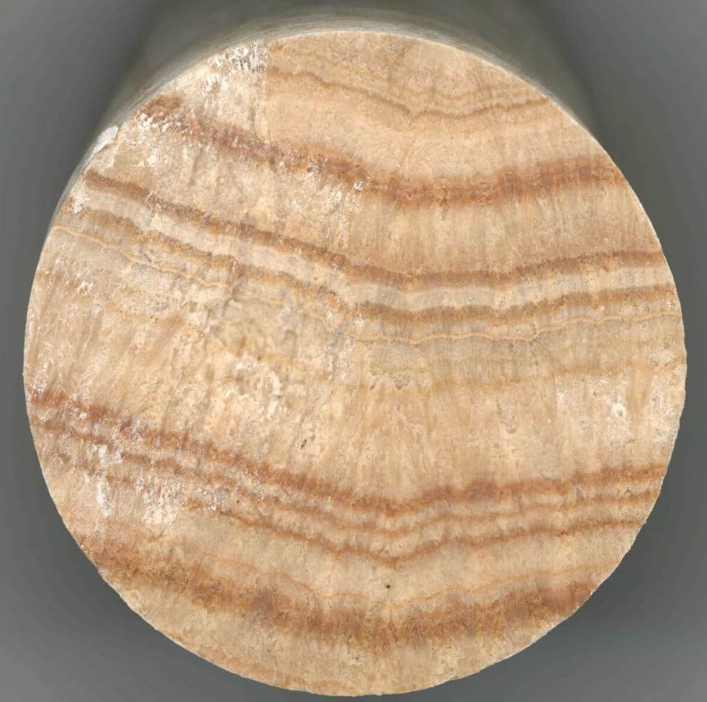 Muestra de sinter del acueducto romano de Valdepuentes