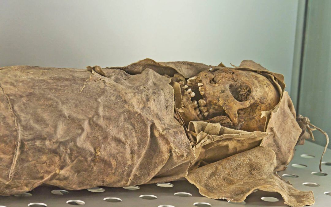 Madres. Osteobiografías prehistóricas