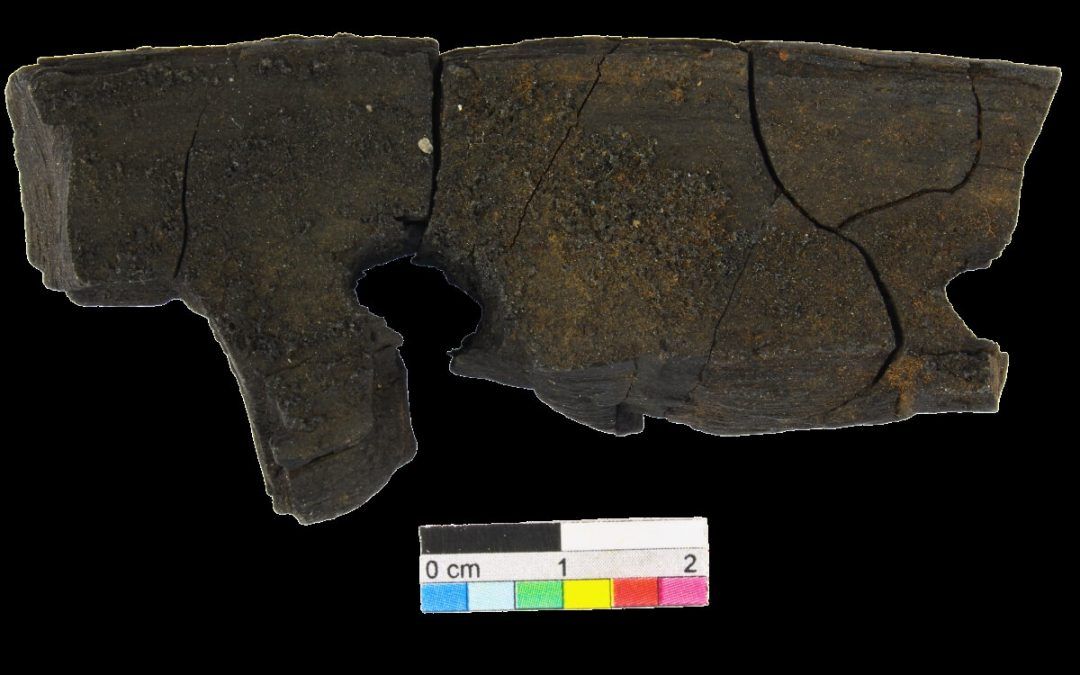 Lo que la madera esconde: el proyecto WILD y la artesanía de los recursos vegetales silvestres durante la Edad del Bronce y la Edad del Hierro en el norte de Iberia