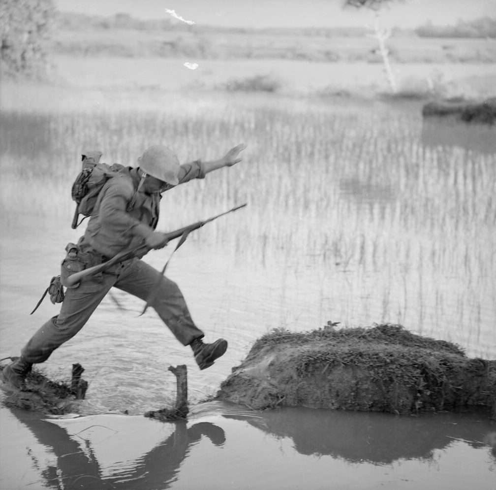 cultivo arroz IR-8, guerra de Vietnam, insurrección, USA, Estados Unidos, marines, operación colorado. 