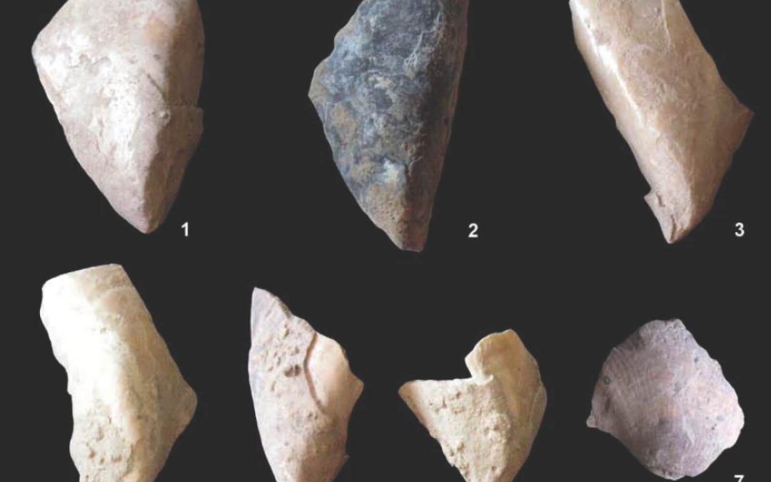 ¿Marisqueaban las poblaciones neandertales? Descifrando los modelos de explotación del medio marino de las poblaciones humanas del sur de Iberia hace más de 100 000 años