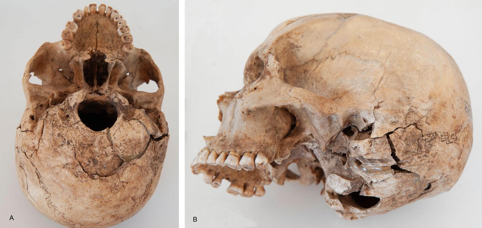 violencia prehispánica