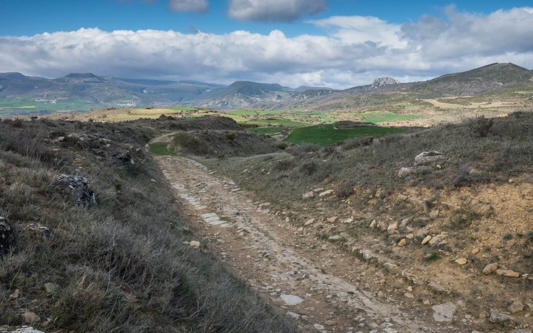 Algunas anotaciones en torno al Camino de Iguste en Navarra