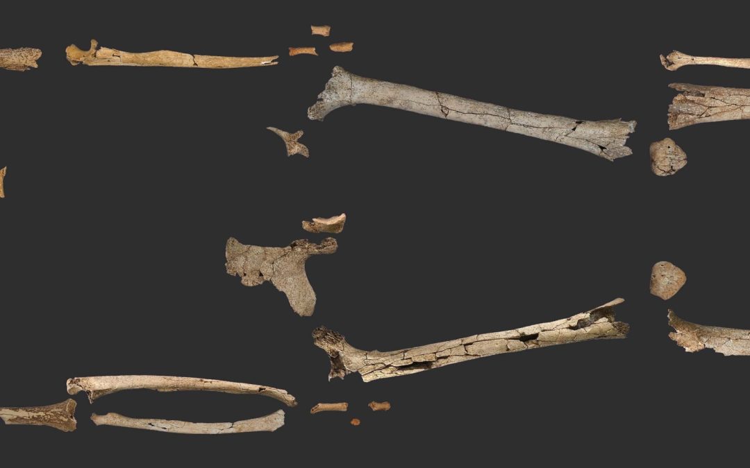 Linya, una mujer de hace 14 000 años del Prepirineo de Lleida