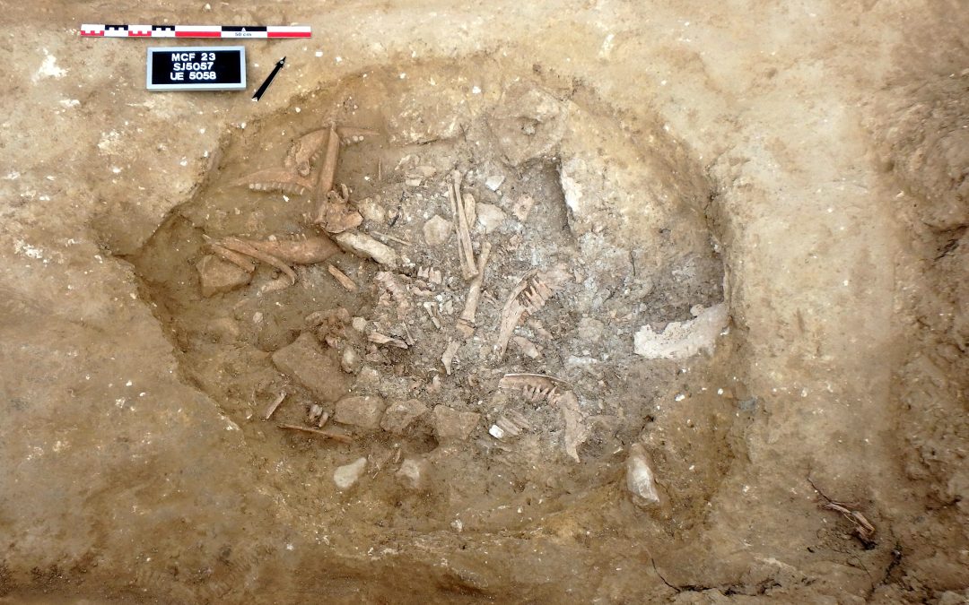 La investigación en la Cesetania occidental: evolución histórica de un pueblo ibérico