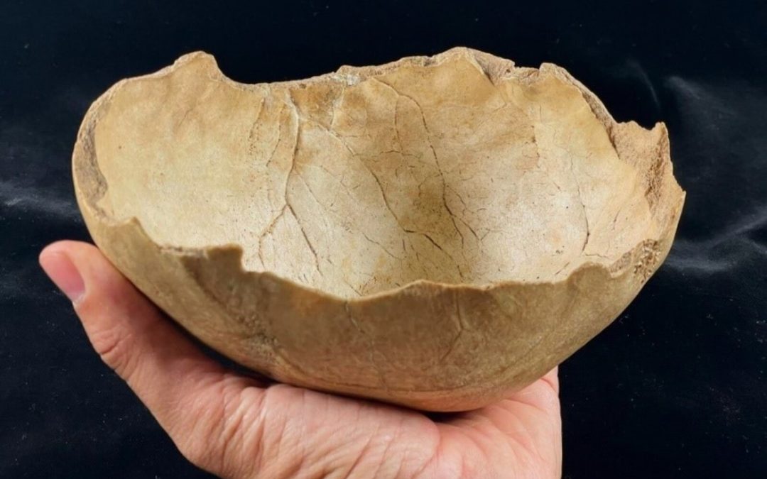 160 proyectos españoles de arqueología y paleontología humana reciben financiación de la Fundación Palarq