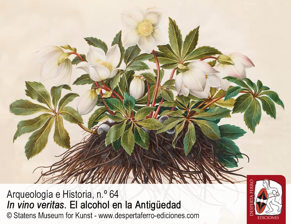 DFAQ64-6 Vino medicinal y crítica médica por Amalia Lejavitzer Lapoujade (Universidad Católica del Uruguay)